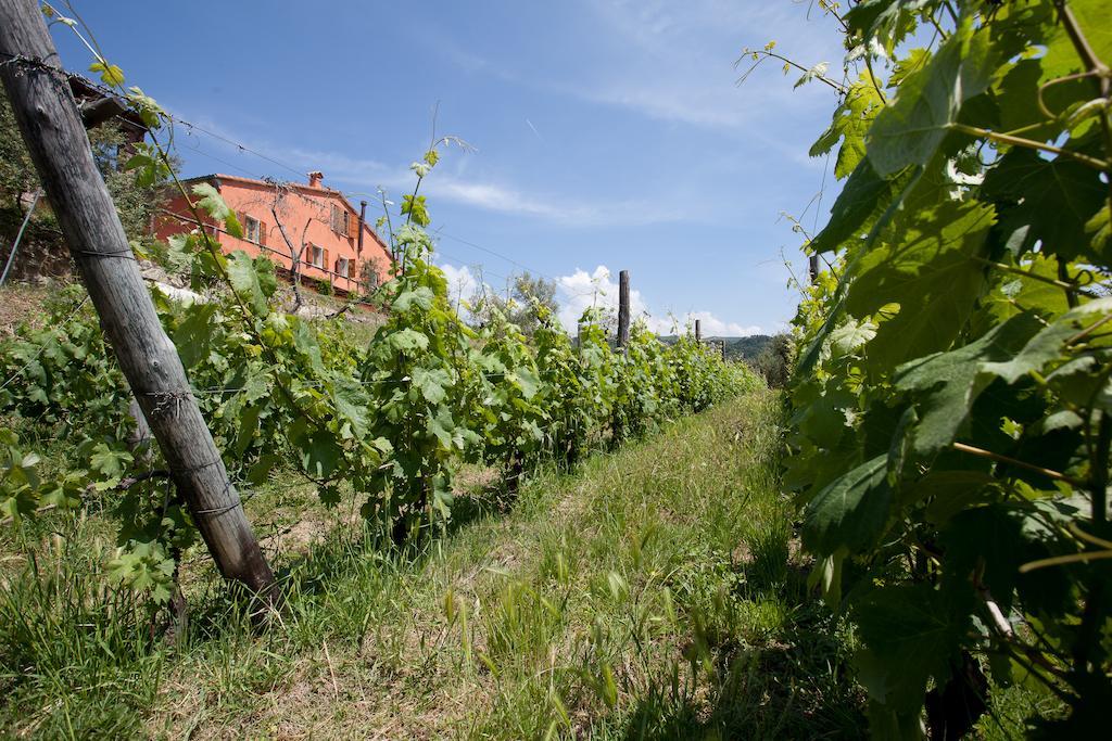 Agriturismo La Burlanda Fosdinovo Zewnętrze zdjęcie